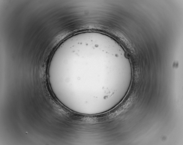 X0000103400977200810031221