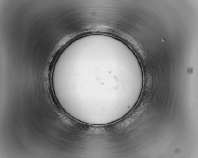 X0000103400978200810031221