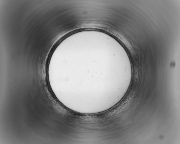 X0000103400980200810031221