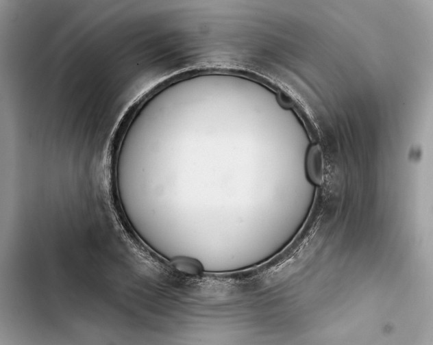 X0000103400981200810031221