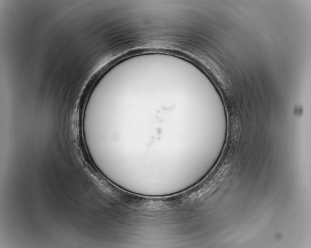 X0000103400982200810031221