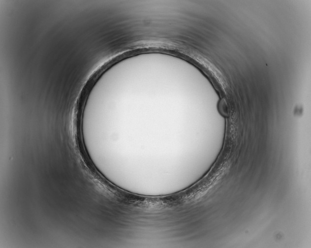 X0000103400983200810031221