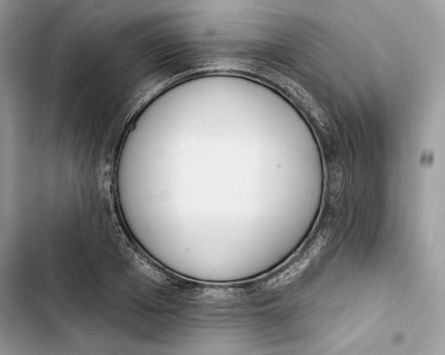 X0000103400985200810031221