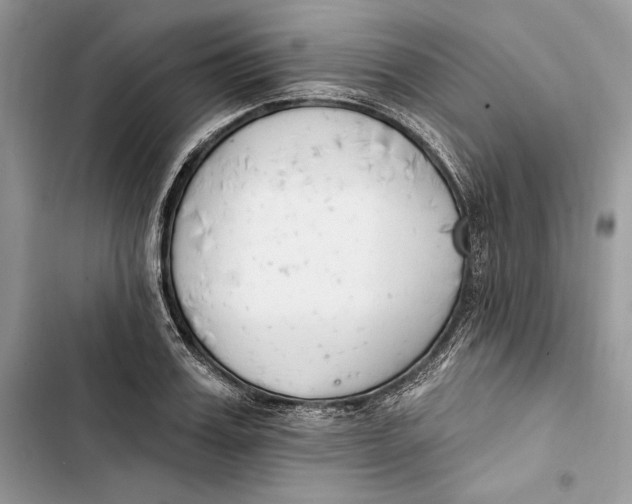 X0000103400987200810031221