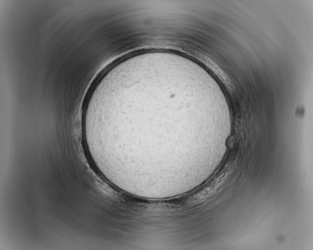 X0000103400988200810031221