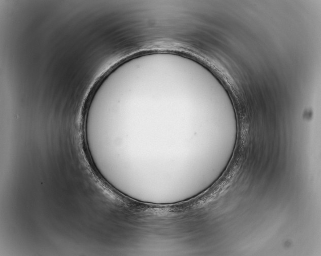 X0000103400990200810031221