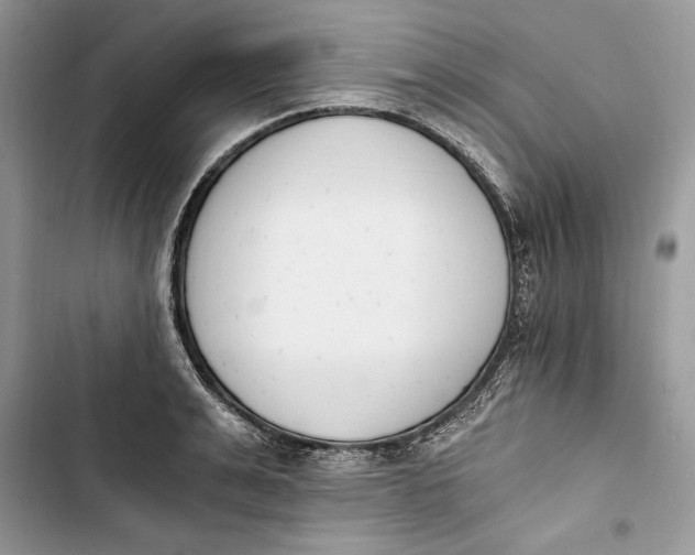 X0000103400991200810031221