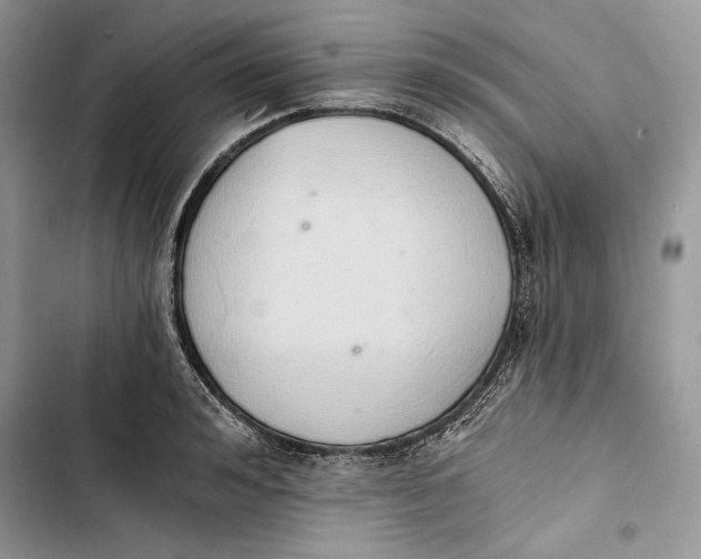 X0000103400992200810031221