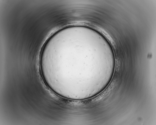 X0000103400994200810031221