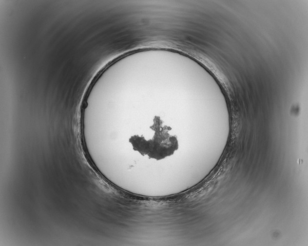 X0000103400996200810031220