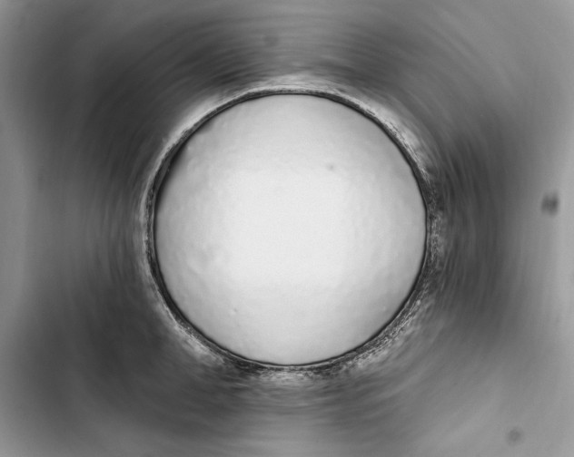 X0000103400998200810031220