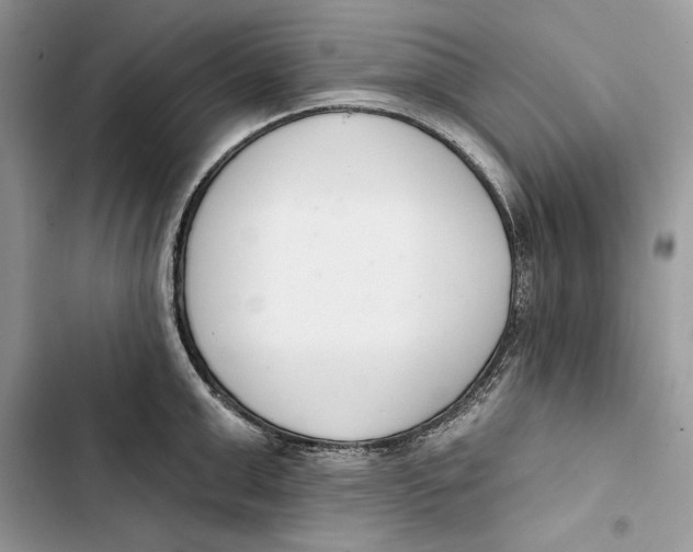 X0000103400999200810031220