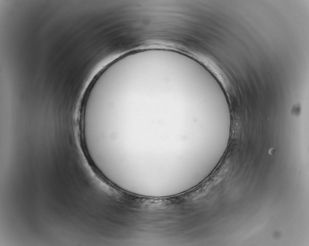 X0000103401003200810031220