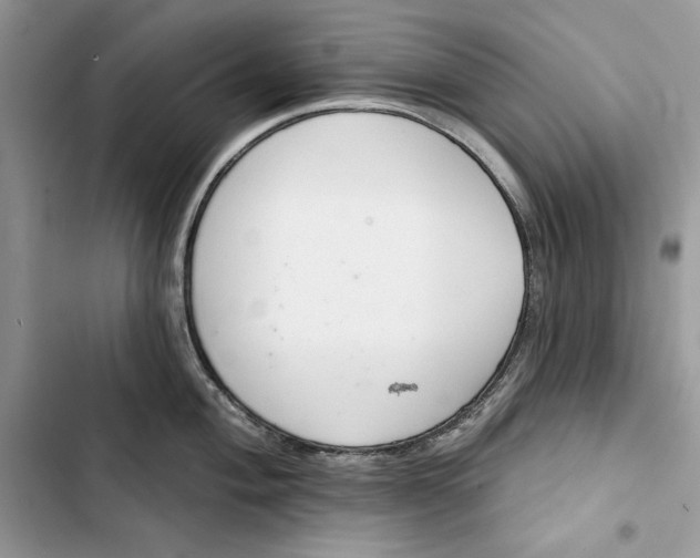 X0000103401004200810031220