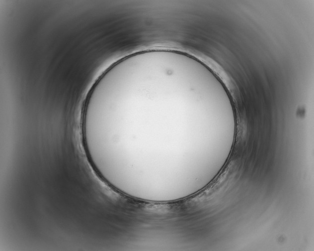 X0000103401006200810031220