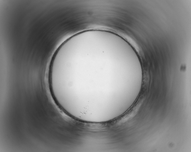 X0000103401007200810031220