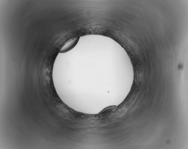 X0000103401010200810031220