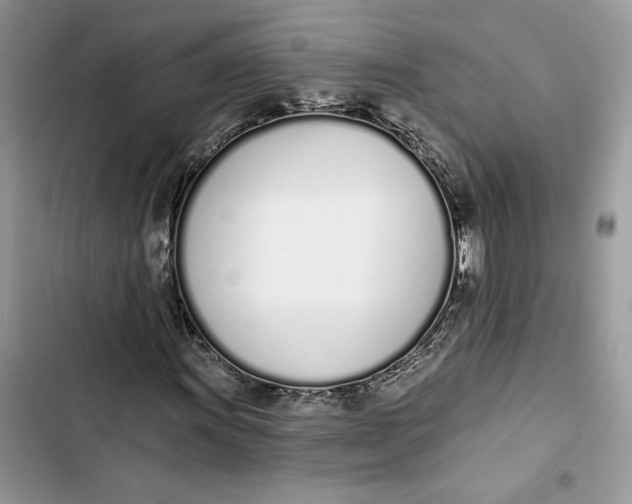 X0000103401011200810031220