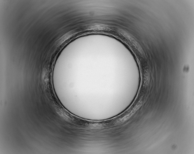 X0000103401017200810031220