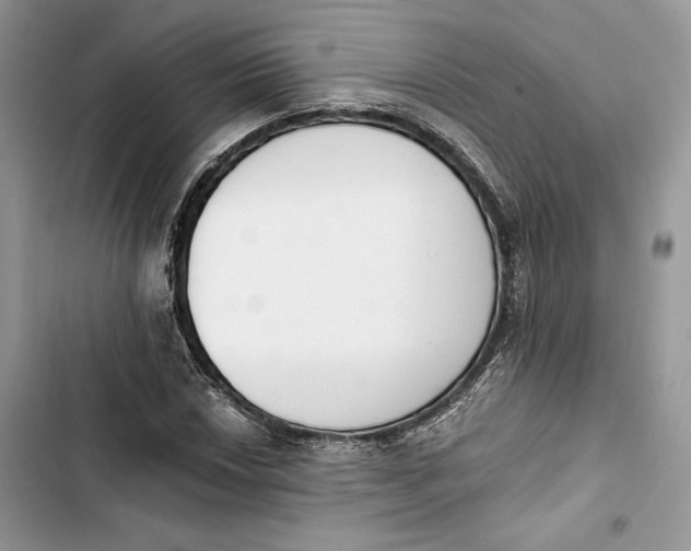 X0000103401018200810031220