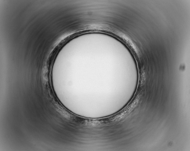 X0000103401019200810031220