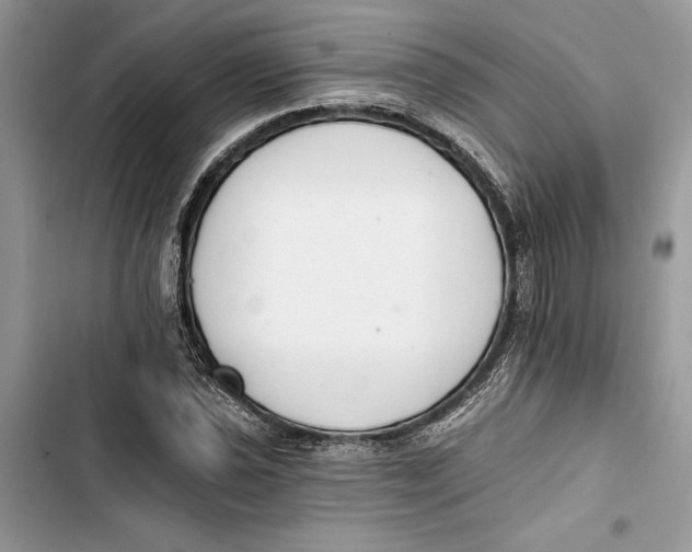 X0000103401021200810031220