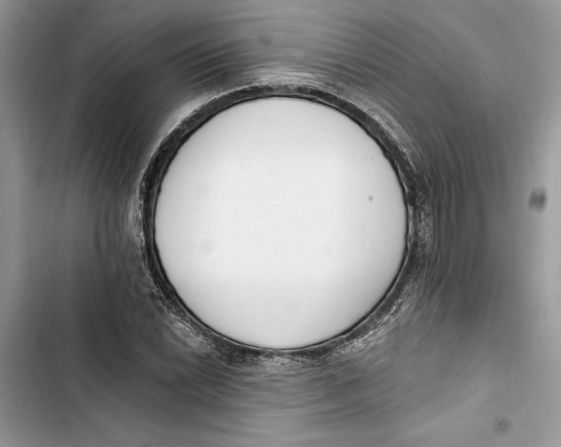 X0000103401022200810031220