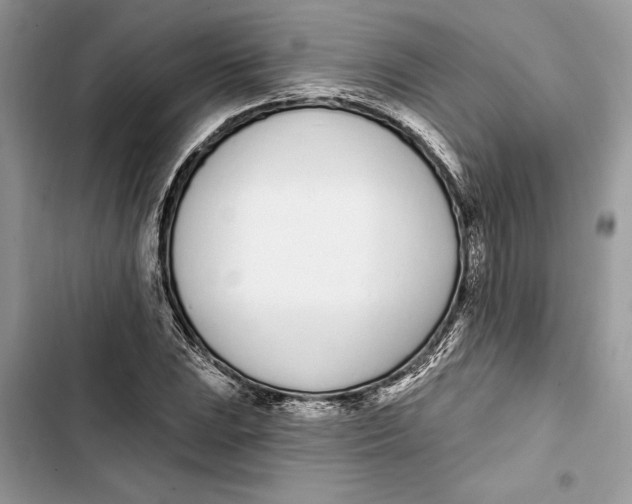 X0000103401023200810031220