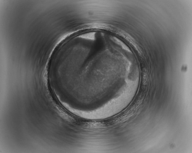 X0000103401024200810031220