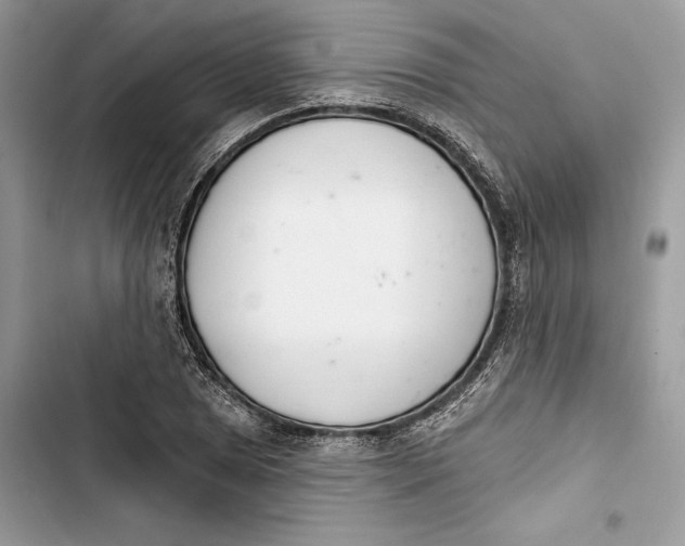 X0000103401025200810031220