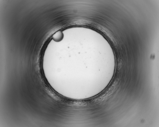 X0000103401026200810031220