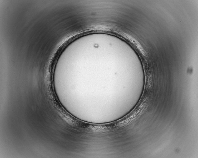 X0000103401027200810031220