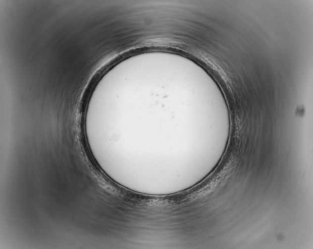 X0000103401029200810031220