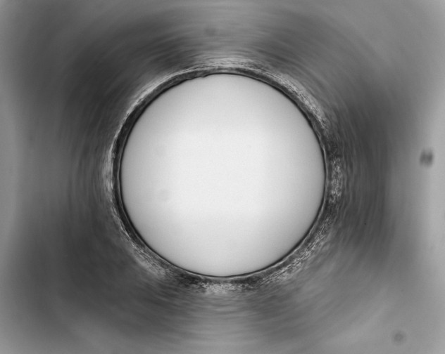 X0000103401031200810031220