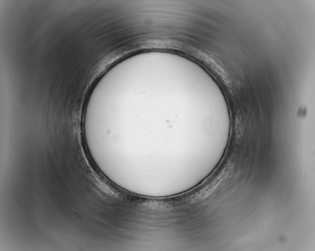 X0000103401033200810031220