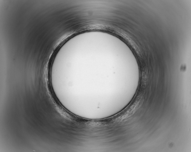 X0000103401034200810031220