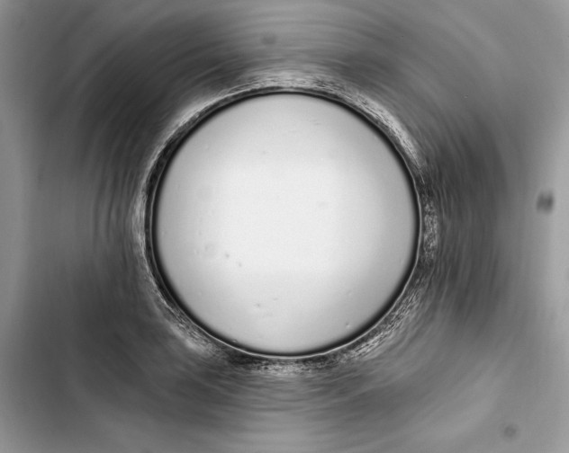 X0000103401035200810031220