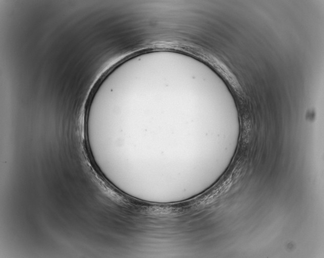 X0000103401036200810031220