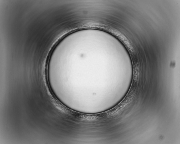 X0000103401039200810031220