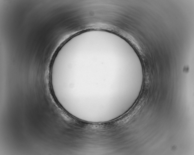 X0000103401040200810031220