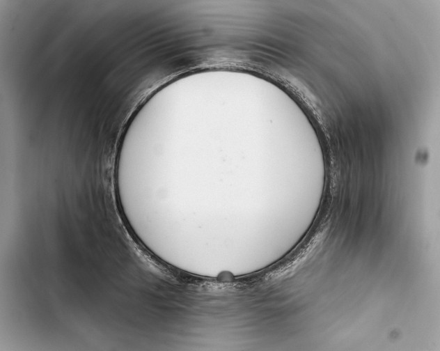 X0000103401041200810031220