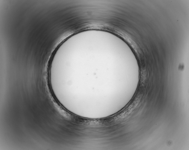 X0000103401042200810031220