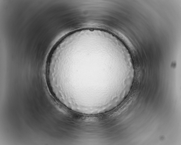 X0000103401043200810031220