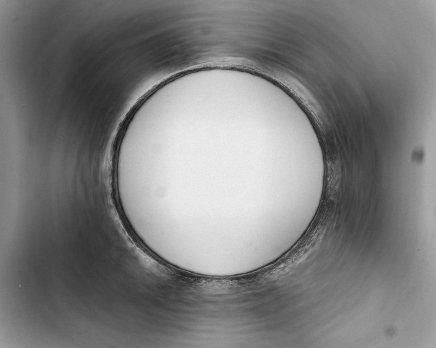 X0000103401046200810031220