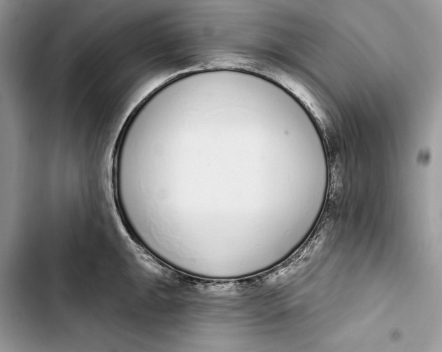 X0000103401047200810031220