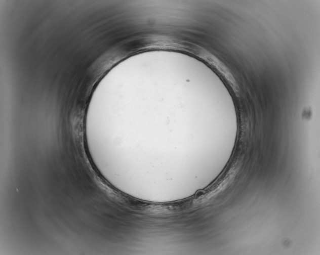 X0000103401049200810031220