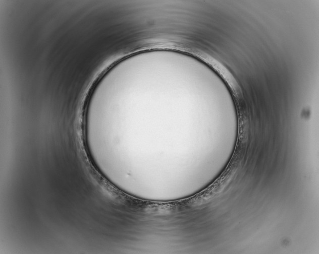 X0000103401051200810031220