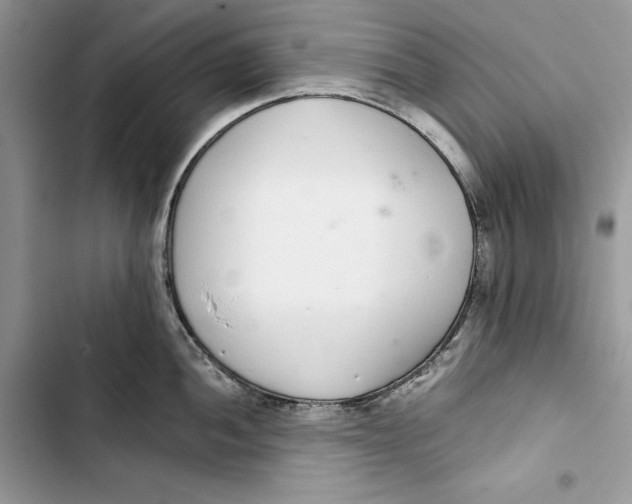 X0000103401052200810031220