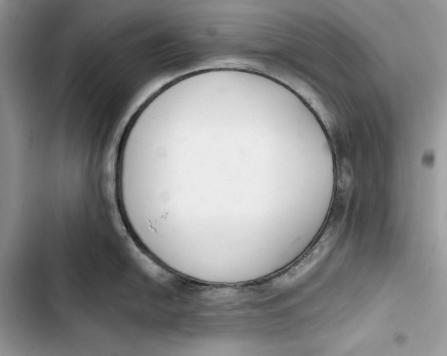 X0000103401054200810031220