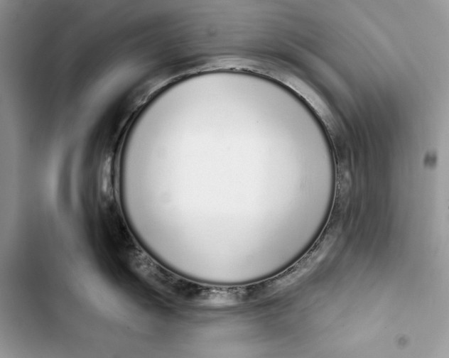 X0000103401055200810031220